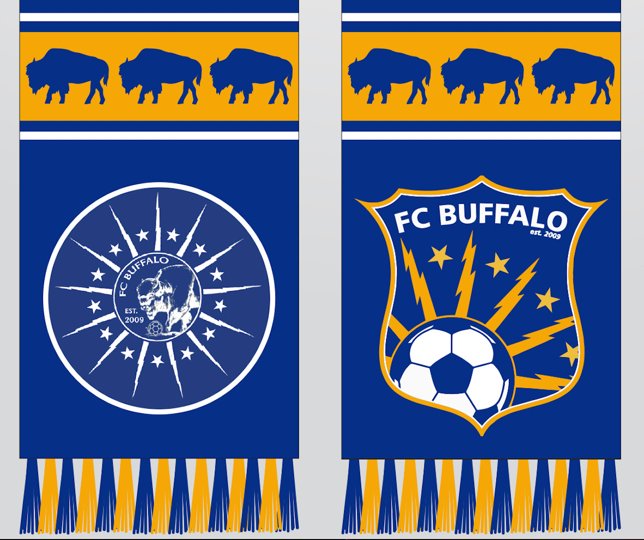 FC Buffalo 2024 Nickel City scarf - Insiders sale