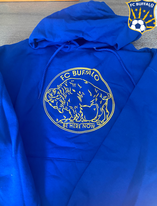 Buffalo Nickel pullover hoodie